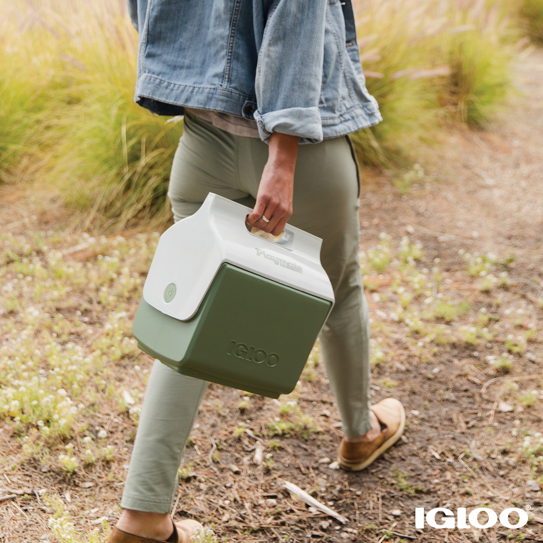 Igloo Hard Cooler