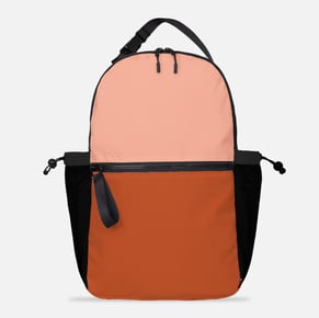 StudioBackpackRustColorblock